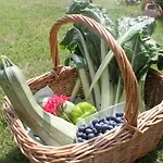L'ciabot Farmház *