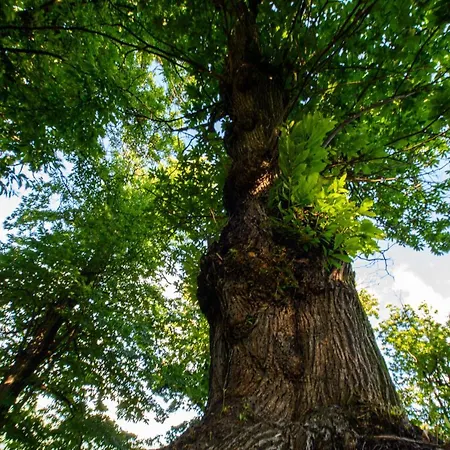 L'ciabot Bauernhof Paesana