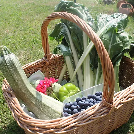 L'ciabot Bauernhof *