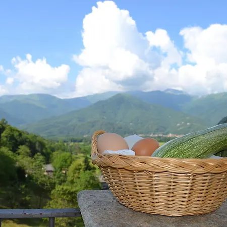 Alloggio per agriturismo L'ciabot *